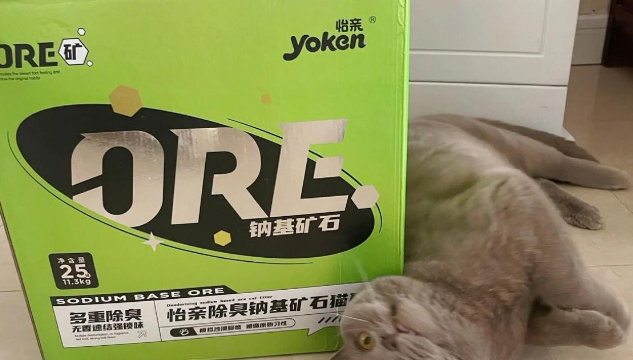 怡亲猫砂：夏日猫砂新选择！怡亲