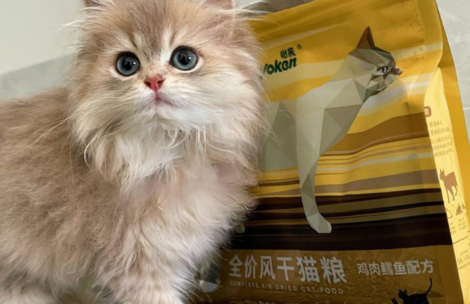 怡亲风干猫粮：性价比之选，风干猫咪爱不释手！猫粮咪爱