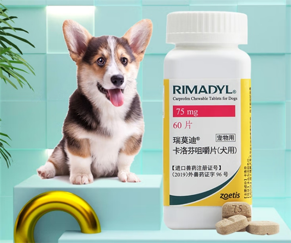 瑞莫迪宠物止疼药有哪些 瑞莫迪宠物止疼药有哪些