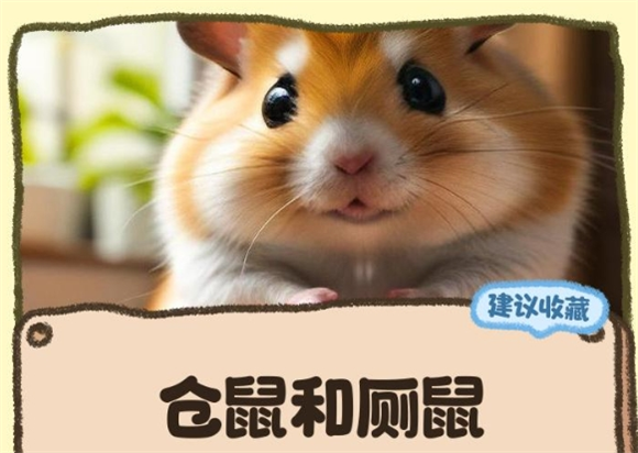 仓鼠和厕鼠