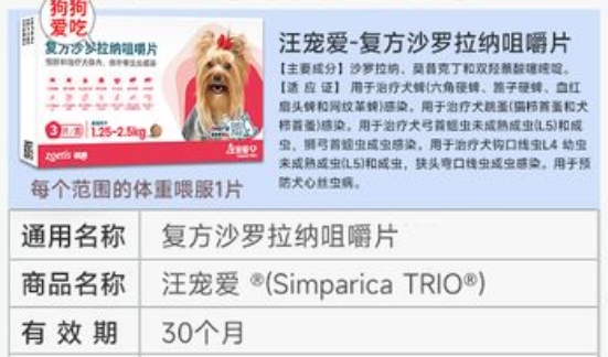 汪宠爱是内驱还是外驱 汪宠爱是内驱还是外驱