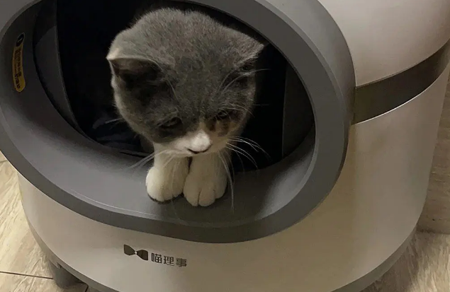 喵理事全自动猫砂盆，铲屎官的福音！