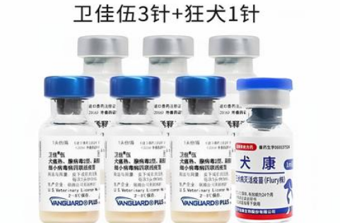 卫佳捌宠物疫苗：八重防护守护犬只健康防线