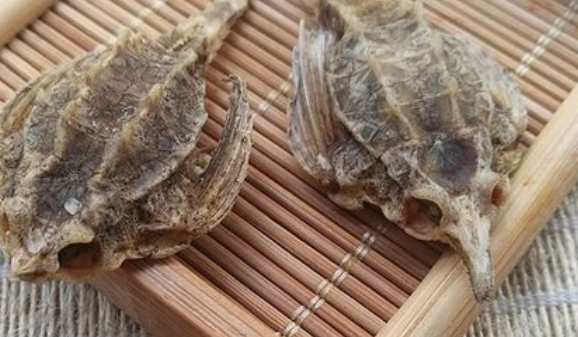 海麻雀有什么作用