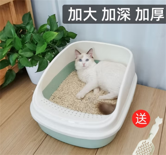 雀宠猫砂盆，打破常规，开启家养宠物新体验