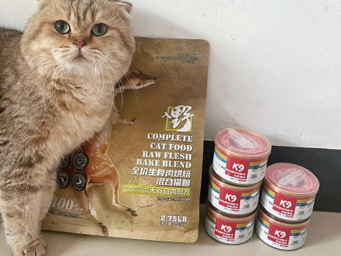 猫咪增肥秘诀：K9猫粮真实体验分享