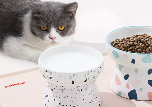 PETSTAR宠物用品推出全球首款可降解猫砂 重新定义环保养宠标准 PETSTAR宠物用品推出全球首款可降解猫砂 重新定义环保养宠标准