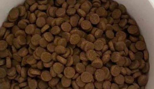 100g狗粮大概是多少