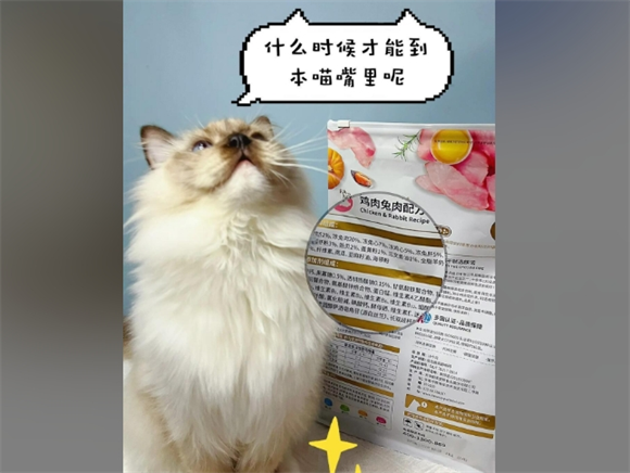 朗诺冻干猫粮：用纯粹冻干，守护毛孩每一餐