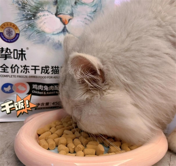 朗诺冻干猫粮:猫咪健康秘诀大公开! 朗诺冻干猫粮:猫咪健康秘诀大公开!