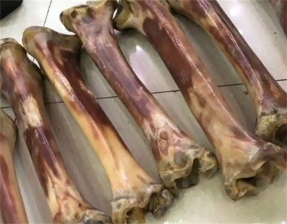 骆驼骨的功效