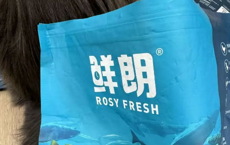 鲜朗的崛起与挑战 鲜朗的崛起与挑战