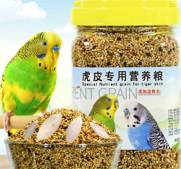 仟芸能给鹦鹉当主粮吗