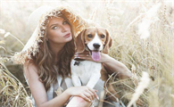 比格犬挑食只吃零食，狗粮为何遭冷落？如何调整？
