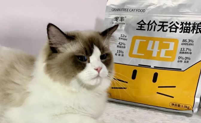 平价猫粮推荐：宠率C42猫粮的优点