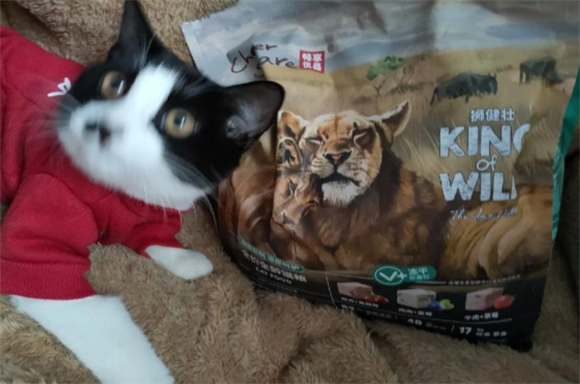 畅享优品K系列猫粮体验分享
