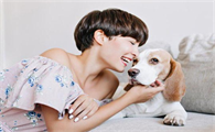 比格犬体重增长的阶段特点​