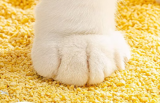 衷鸣猫砂是一款受到宠物主人好评的产品 衷鸣猫砂是一款受到宠物主人好评的产品