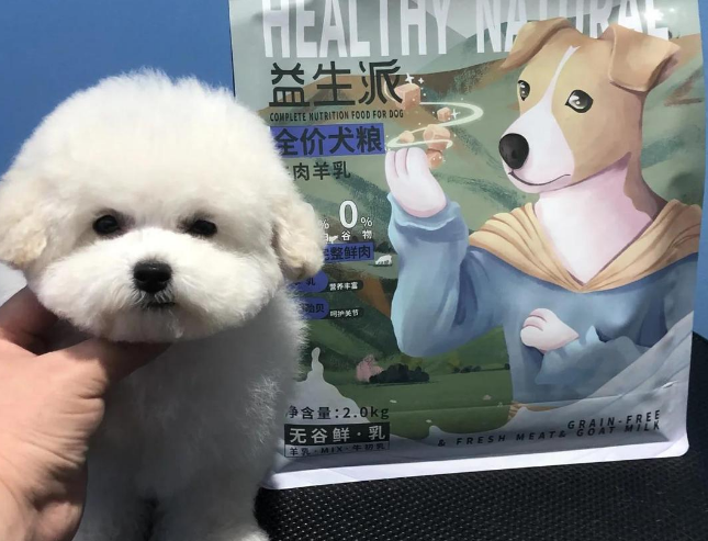 靓贝狗粮:比熊犬的泪痕克星 靓贝狗粮:比熊犬的泪痕克星