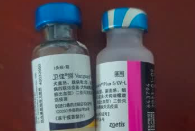 卫佳捌狂犬疫苗好还是宠必威 卫佳捌狂犬疫苗好还是宠必威