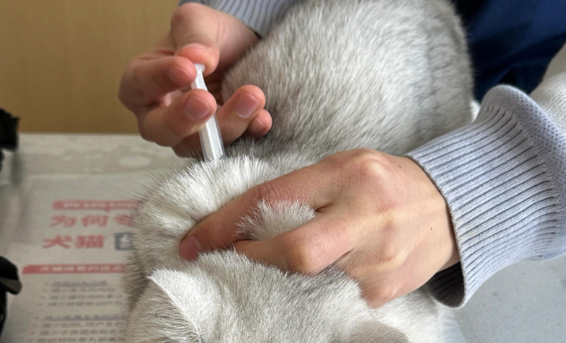 卫佳捌疫苗多久打一次