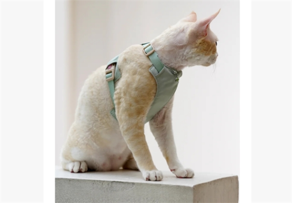 ARKIKA 轻护猫咪胸背牵引绳 浪花绿 ARKIKA 轻护猫咪胸背牵引绳 浪花绿