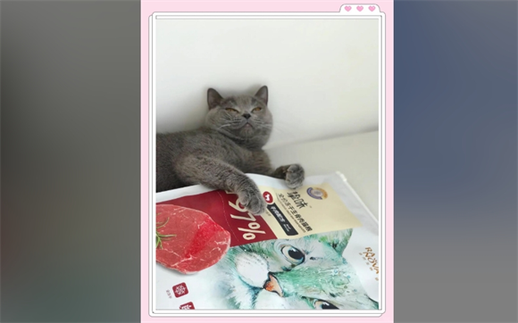 猫咪的快乐源泉:朗诺冻干生骨肉 猫咪的快乐源泉:朗诺冻干生骨肉