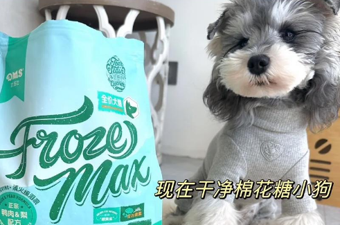 大玛仕狗粮：80元搞定狗狗泪痕问题！