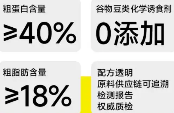为何要选择诚实一口P40?-宠物网