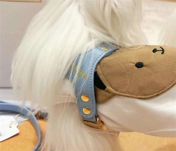 ARKIKA 小型犬狗狗胸背牵引绳，为萌宠出行保驾护航