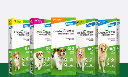 可立奥驱虫剂狗狗怎么使用 可立奥驱虫剂狗狗怎么使用
