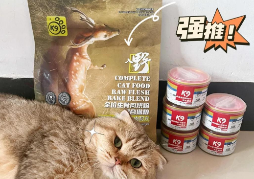 猫咪增肥秘诀：K9猫粮真实体验分享