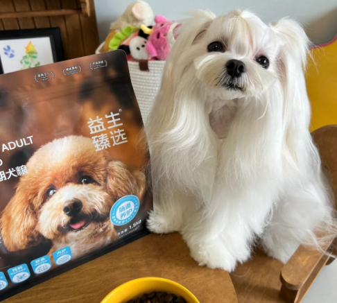 靓贝狗粮:肠胃弱犬的福音 靓贝狗粮:肠胃弱犬的福音