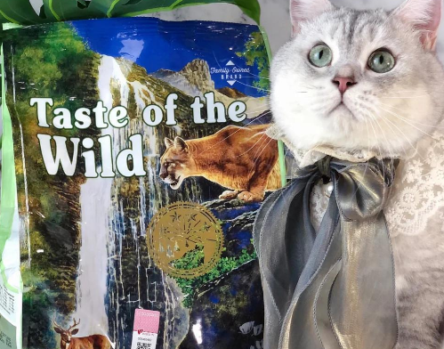荒野盛宴猫粮：高性价比进口粮推荐