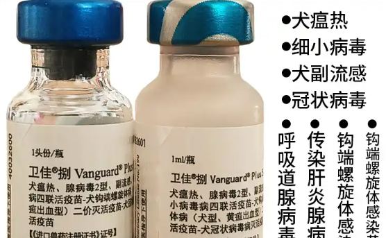卫佳捌疫苗是国产还是进口的
