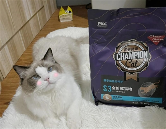 畅享优品猫粮，你真的了解吗？