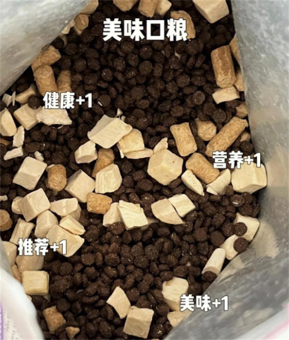 靓贝猫粮，猫咪成长秘籍！