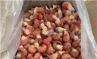 冻龙虾尾多少钱一斤
