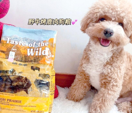 荒野盛宴狗粮你还没听说过？快来看看吧