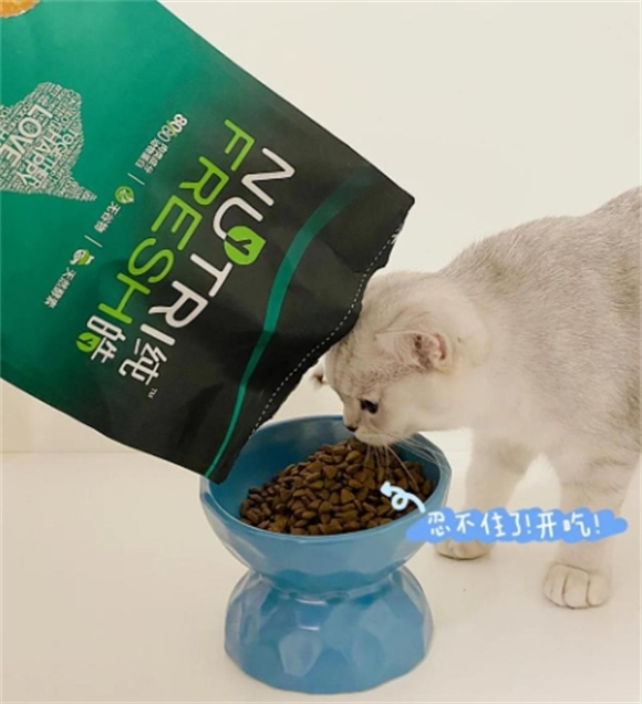 纯皓猫粮测评:国产猫粮的新选择 纯皓猫粮测评:国产猫粮的新选择