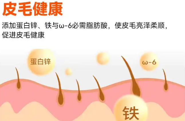 好主人天然狗粮怎么样? 好主人天然狗粮怎么样?
