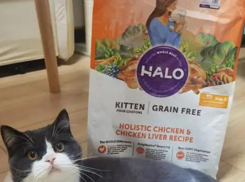 Halo自然光环猫粮:猫咪的健康守护者 Halo自然光环猫粮:猫咪的健康守护者