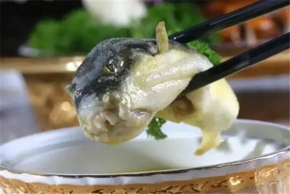 济南吃河豚的饭店