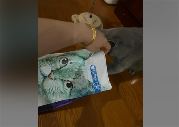 朗诺:猎食本能的唤醒者,猫咪的原始能量补给站 朗诺:猎食本能的唤醒者,猫咪的原始能量补给站