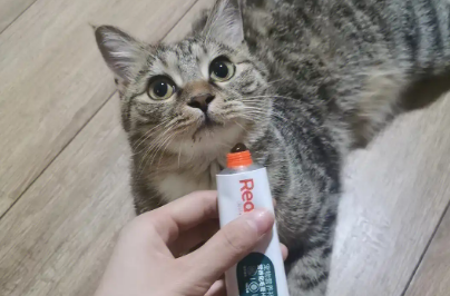 红狗化毛膏：温和排毛好帮手