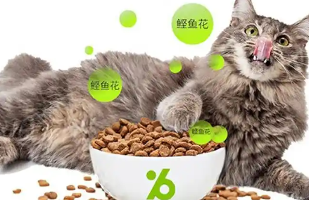 10款超赞比乐猫干粮!铲屎官闭眼入不踩雷! 10款超赞比乐猫干粮!铲屎官闭眼入不踩雷!