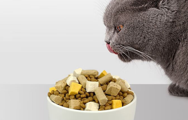 迪尤克猫粮,一个值得考虑的品牌! 迪尤克猫粮,一个值得考虑的品牌!