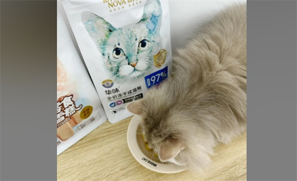 朗诺冻干食品的崛起：猫咪主食新推荐