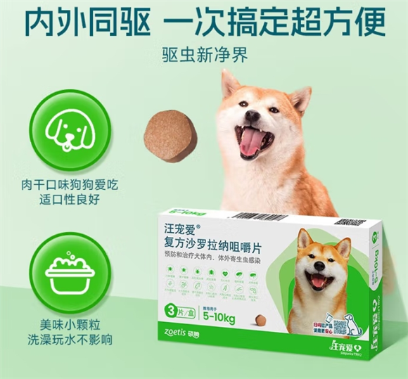 多场景适用，汪宠爱为狗狗保驾护航