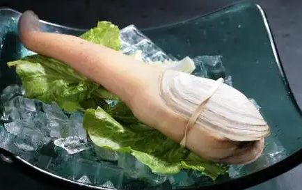 象拔蚌烫一下就能吃吗